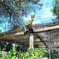 Masseria Fracchicchi