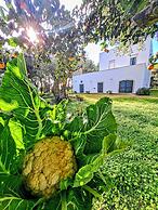 Masseria Fracchicchi