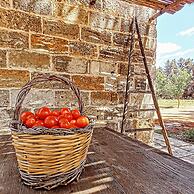 Masseria Fracchicchi