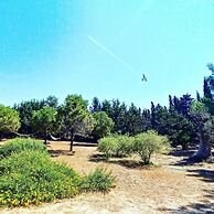 Masseria Fracchicchi