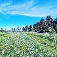 Masseria Fracchicchi