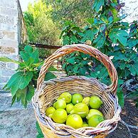 Masseria Fracchicchi