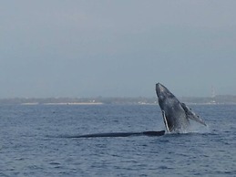 Casa de Mar Hotel And Villas