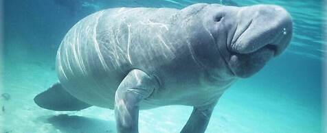 Ladyville 2Bed 2Bath