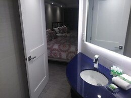 Soleil Apartments at The Alexander