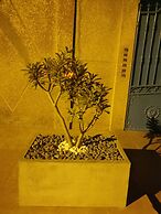 Tourbillon de fraîcheur