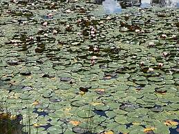 Blackwattle Luxury Retreats