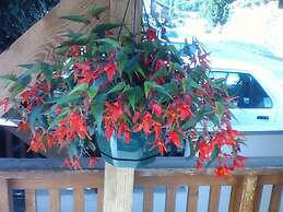 Hôtel Restaurant La Croix Jean Claude