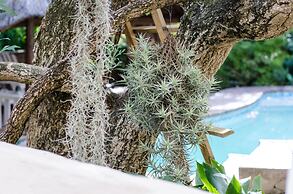 Panorama Guest House