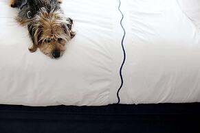 Maison Métier, in the Unbound Collection by Hyatt