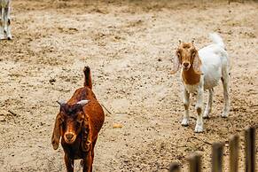 Melia Ho Tram Beach Resort