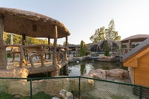 Oasis in Forest