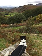 Pisgah Guest House Snowdonia