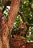 Agriturismo Cerrolungo