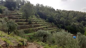 Agriturismo Cerrolungo