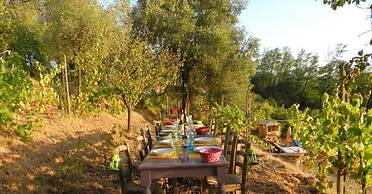 Agriturismo Cerrolungo