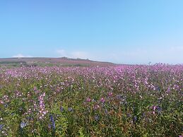 Victoria Inn Brewhouse B&B