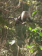 Castillo Tambor Resort and Restaurant