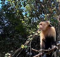 Castillo Tambor Resort and Restaurant