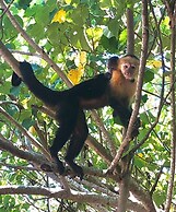 Castillo Tambor Resort and Restaurant