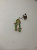 Tamcoc White Swan Hostel