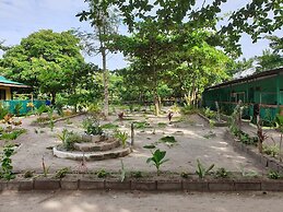 Mabuhay Thresher Dive