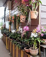 Paradise Riverview Resort