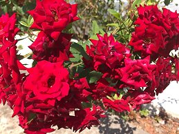 Sreser Dubrovnik Apartments Urlic