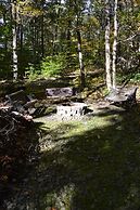 Inn the Woods Bed and Breakfast