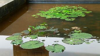 Thompson Manor - A Luxury Villa in Galle