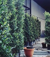 Bedbox Vientiane Hostel