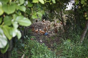 Yabbiekayu Eco Bungalows