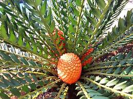 Villa La Mercy Guest Suite