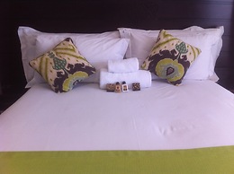 Cycad Palm Guest House