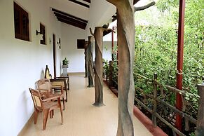 Hungry Lion Sigiriya