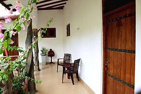Hungry Lion Sigiriya