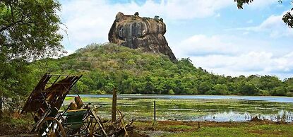 Hungry Lion Sigiriya