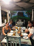 Hungry Lion Sigiriya