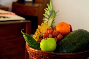 Hungry Lion Sigiriya