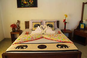 Hungry Lion Sigiriya