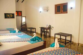 Hungry Lion Sigiriya