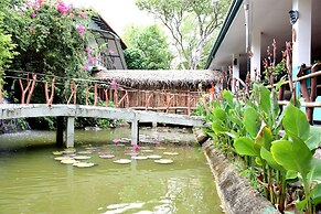 Hungry Lion Sigiriya