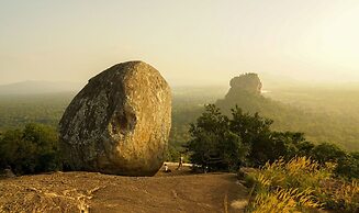 Hungry Lion Sigiriya