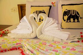 Hungry Lion Sigiriya