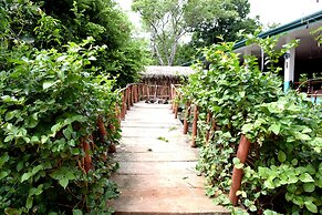 Hungry Lion Sigiriya
