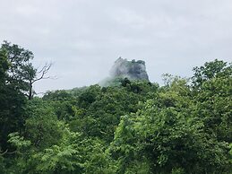 Hungry Lion Sigiriya