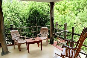 Hungry Lion Sigiriya