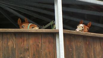 Reiter- und Ferienhof Redder