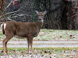Garden Inn Bed & Breakfast at Bee Rock