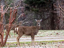 Garden Inn Bed & Breakfast at Bee Rock